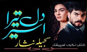 Read more about the article Dil Tera Aseer Complete Novel By Sajeela Nisar