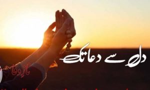 Read more about the article Dil se dua tak Complete Novel by Naz e Wafa Download