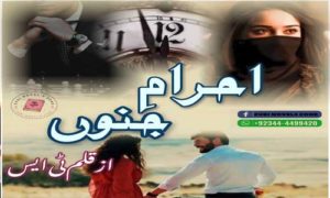 Read more about the article Ehram e Junoon Complete Novel by TS Writes Download