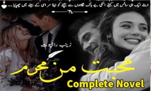 Read more about the article Mohabbat Man Mehram by Zainab Rajpoot Complete Novel