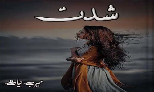 Shiddat-Novel-By-Meerab-Hayat-Novel