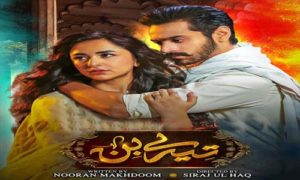 Read more about the article Tere Bin by Nooran Makhdoo Complete Novel Download