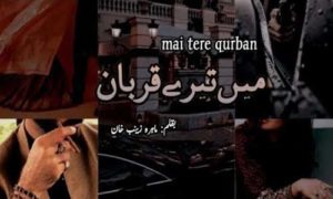 Read more about the article Mai Tere Qurban Complete Novel By Mahira Zaynab Khan