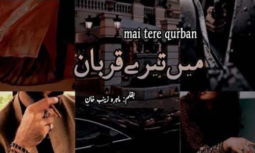 Mai Tere Qurban Complete Novel 