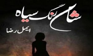 Read more about the article Sham Rang Siyah By Aymal Raza Complete Novel In PDF