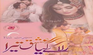 Read more about the article Rula Ke Gaya Ishq Tera By Seerat Shah Complete Novel in PDF