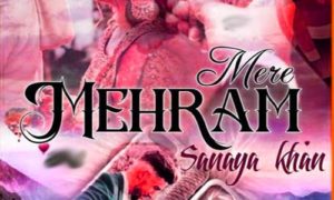 Read more about the article Mehram Mere by Sanaya Khan Complete Novel Free Download