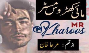 Read more about the article My Kharoos Mr By Mirha Khan Complete Novel Download