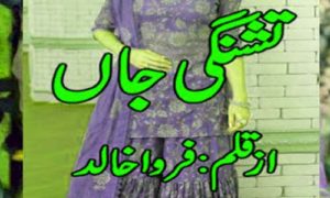 Read more about the article Tashnagi E Jaan By Farwa Khalid Complete Novel Download