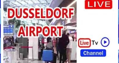 Dusseldorf Airport Live Germany